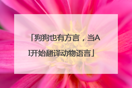狗狗也有方言，当AI开始翻译动物语言