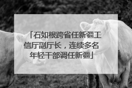 石如根跨省任新疆工信厅副厅长，连续多名年轻干部调任新疆