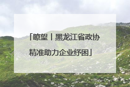 瞭望丨黑龙江省政协精准助力企业纾困