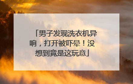 男子发现洗衣机异响，打开被吓晕！没想到竟是这玩意