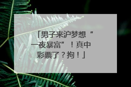 男子来沪梦想“一夜暴富”！真中彩票了？拘！