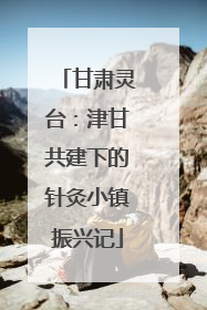 甘肃灵台：津甘共建下的针灸小镇振兴记