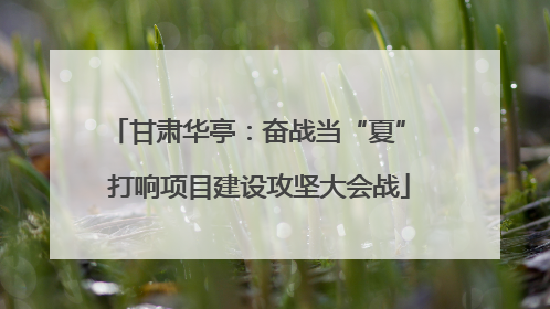 甘肃华亭：奋战当“夏” 打响项目建设攻坚大会战