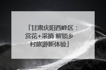 甘肃庆阳西峰区：赏花+采摘 解锁乡村旅游新体验