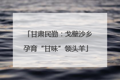 甘肃民勤：戈壁沙乡孕育“甘味”领头羊