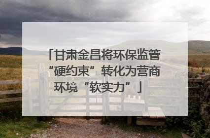 甘肃金昌将环保监管“硬约束”转化为营商环境“软实力”