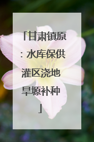 甘肃镇原：水库保供 灌区浇地 旱塬补种
