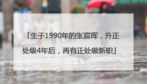 生于1990年的张宸珲，升正处级4年后，再有正处级新职
