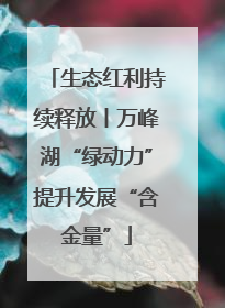 生态红利持续释放丨万峰湖“绿动力”提升发展“含金量”