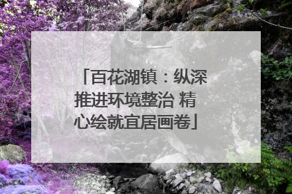 百花湖镇：纵深推进环境整治 精心绘就宜居画卷