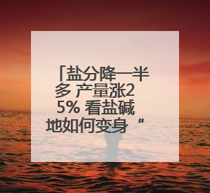 盐分降一半多 产量涨25% 看盐碱地如何变身“丰收田”