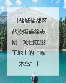 盐城盐都区盐渎街道徐志刚：项目建设工地上的“啄木鸟”