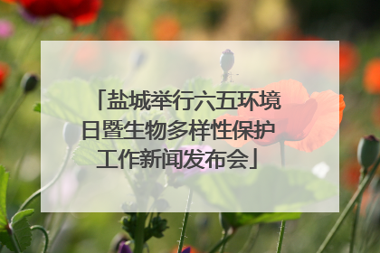 盐城举行六五环境日暨生物多样性保护工作新闻发布会