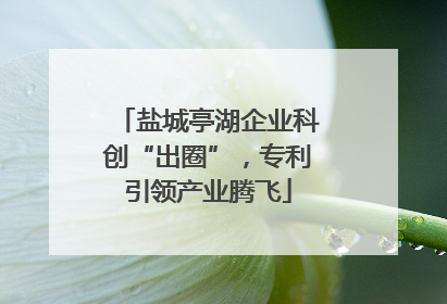 盐城亭湖企业科创“出圈”，专利引领产业腾飞