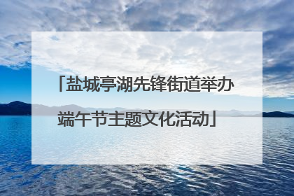 盐城亭湖先锋街道举办端午节主题文化活动