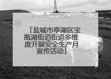 盐城市亭湖区宝瓶湖街道街道多维度开展安全生产月宣传活动