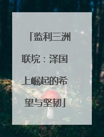 监利三洲联垸：泽国上崛起的希望与坚韧