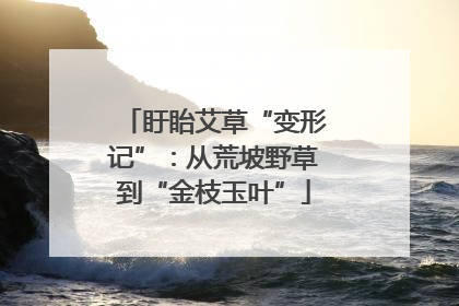 盱眙艾草“变形记”：从荒坡野草到“金枝玉叶”