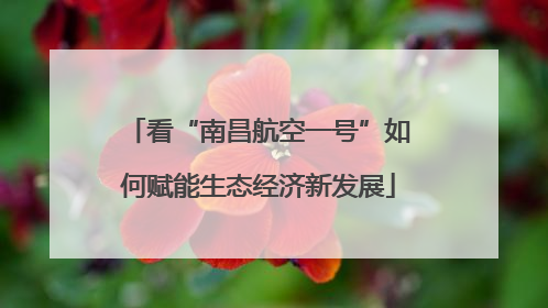 看“南昌航空一号”如何赋能生态经济新发展