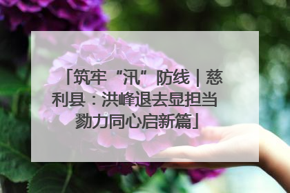 筑牢“汛”防线｜慈利县：洪峰退去显担当 勠力同心启新篇