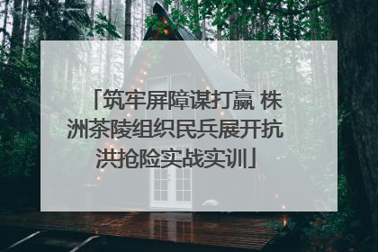 筑牢屏障谋打赢 株洲茶陵组织民兵展开抗洪抢险实战实训