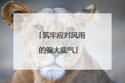 筑牢应对风雨的强大底气
