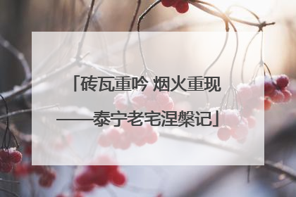 砖瓦重吟 烟火重现——泰宁老宅涅槃记