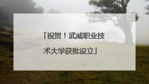 祝贺！武威职业技术大学获批设立