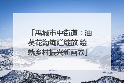 禹城市中街道：油葵花海绚烂绽放 绘就乡村振兴新画卷