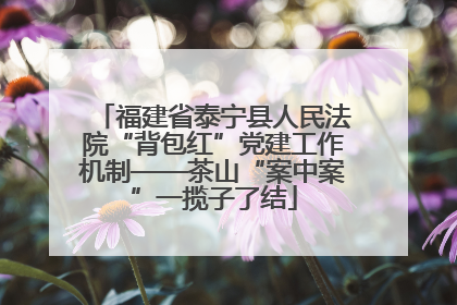 福建省泰宁县人民法院“背包红”党建工作机制——茶山“案中案”一揽子了结