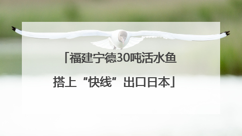 福建宁德30吨活水鱼搭上“快线”出口日本