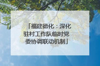 福建德化：深化驻村工作队临时党委协调联动机制