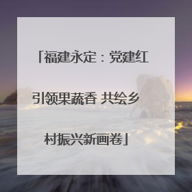 福建永定：党建红引领果蔬香 共绘乡村振兴新画卷
