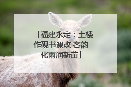 福建永定：土楼作砚书课改 客韵化雨润新苗