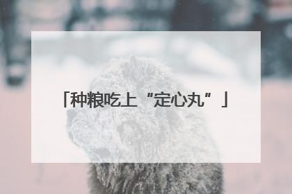 种粮吃上“定心丸”