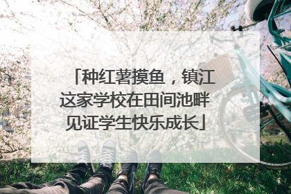 种红薯摸鱼，镇江这家学校在田间池畔见证学生快乐成长