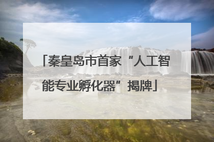 秦皇岛市首家“人工智能专业孵化器”揭牌