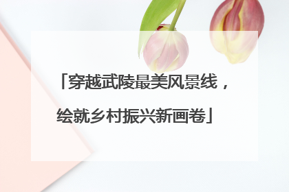 穿越武陵最美风景线，绘就乡村振兴新画卷
