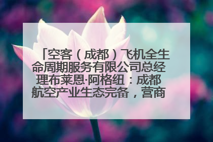 空客（成都）飞机全生命周期服务有限公司总经理布莱恩·阿格纽：成都航空产业生态完备，营商环境优势显著