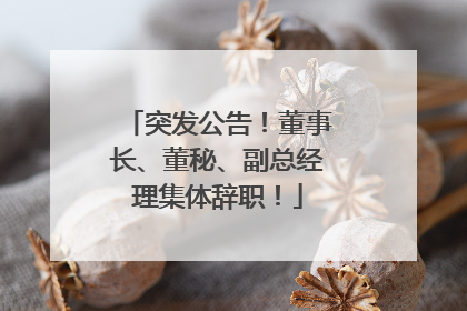 突发公告！董事长、董秘、副总经理集体辞职！