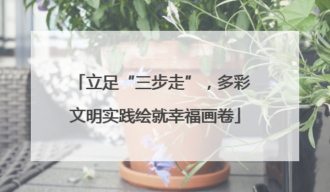 立足“三步走”，多彩文明实践绘就幸福画卷