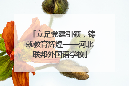 立足党建引领，铸就教育辉煌——河北联邦外国语学校