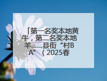 第一名奖本地黄牛，第二名奖本地羊……县街“村BA”（2025春季赛）圆满完赛