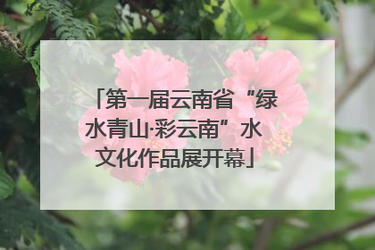 第一届云南省“绿水青山·彩云南”水文化作品展开幕