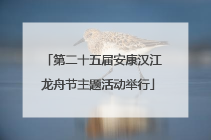 第二十五届安康汉江龙舟节主题活动举行