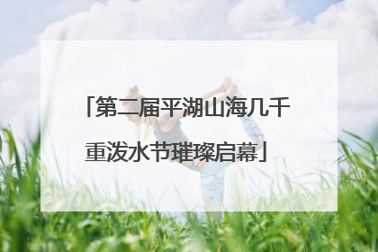 第二届平湖山海几千重泼水节璀璨启幕