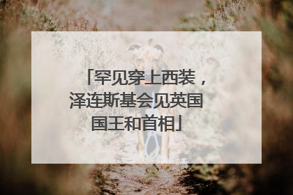 罕见穿上西装，泽连斯基会见英国国王和首相