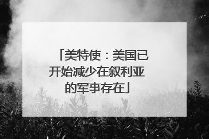 美特使：美国已开始减少在叙利亚的军事存在