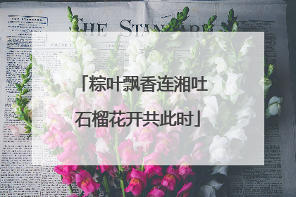 粽叶飘香连湘吐 石榴花开共此时