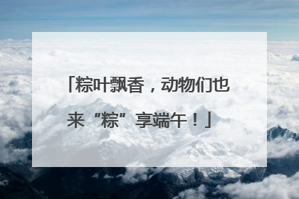 粽叶飘香，动物们也来“粽”享端午！